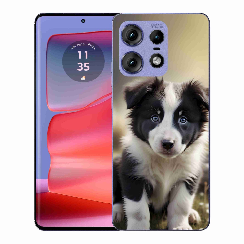 Zselés borítás mmCase a Motorola Edge 50 Pro készülékhez - aranyos border collie