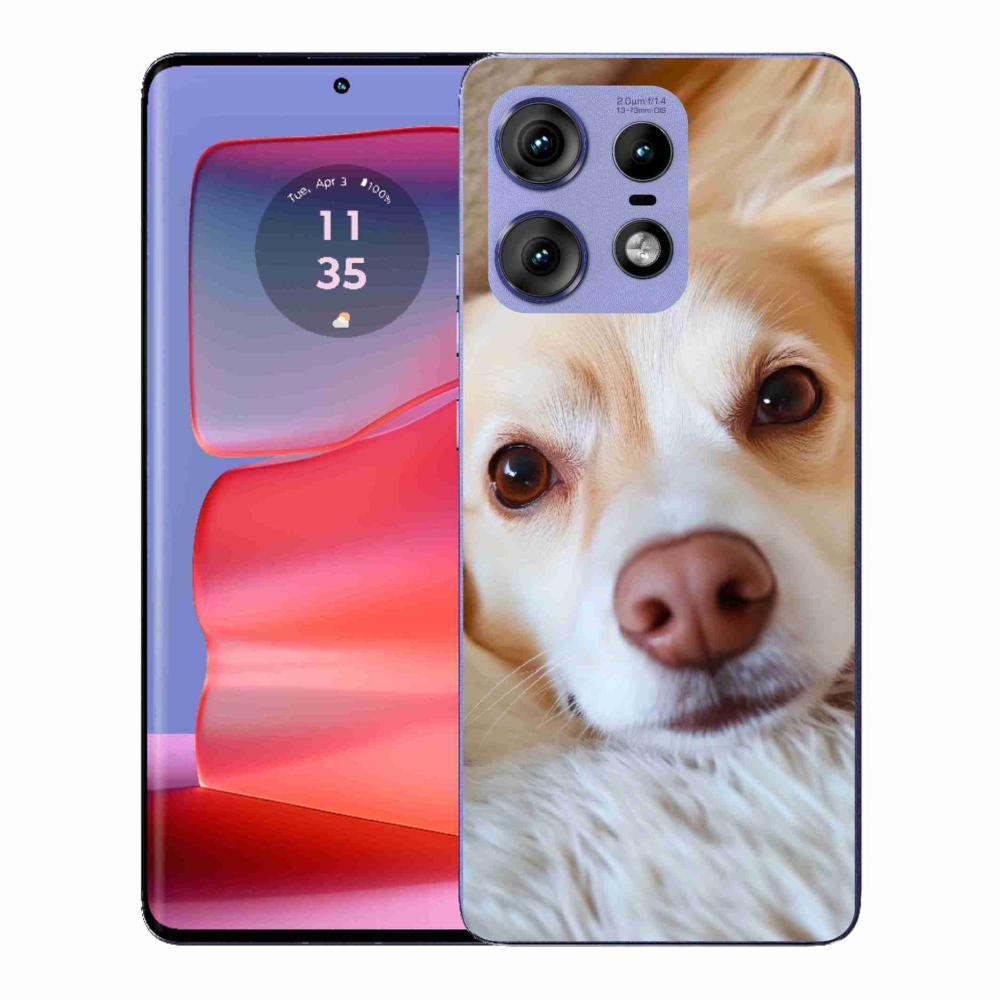 Zselés borítás mmCase a Motorola Edge 50 Pro készülékhez - Aranyos csivava