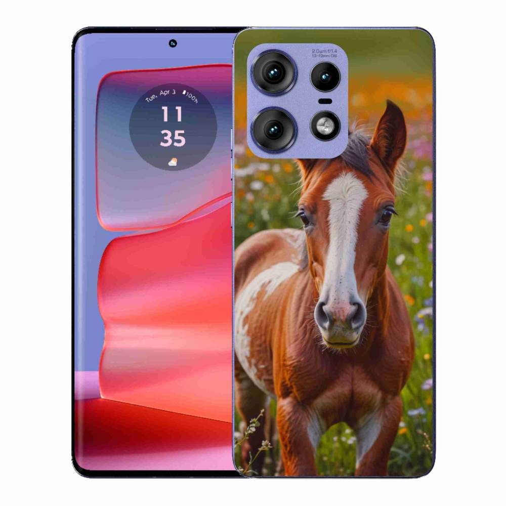 Zselés borítás mmCase a Motorola Edge 50 Pro készülékhez - aranyos csikó