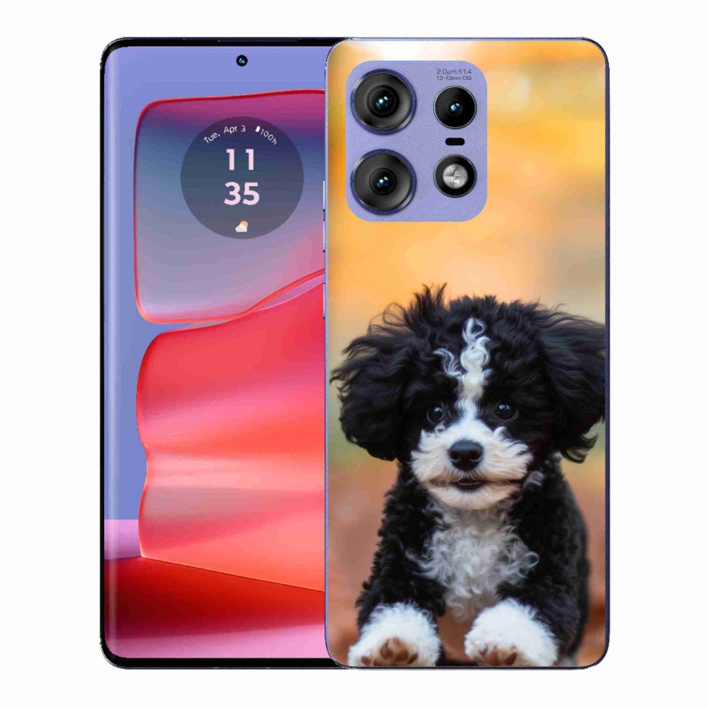Gél védőburkolat mmCase a Motorola Edge 50 Pro készülékhez - aranyos kiskutya 2