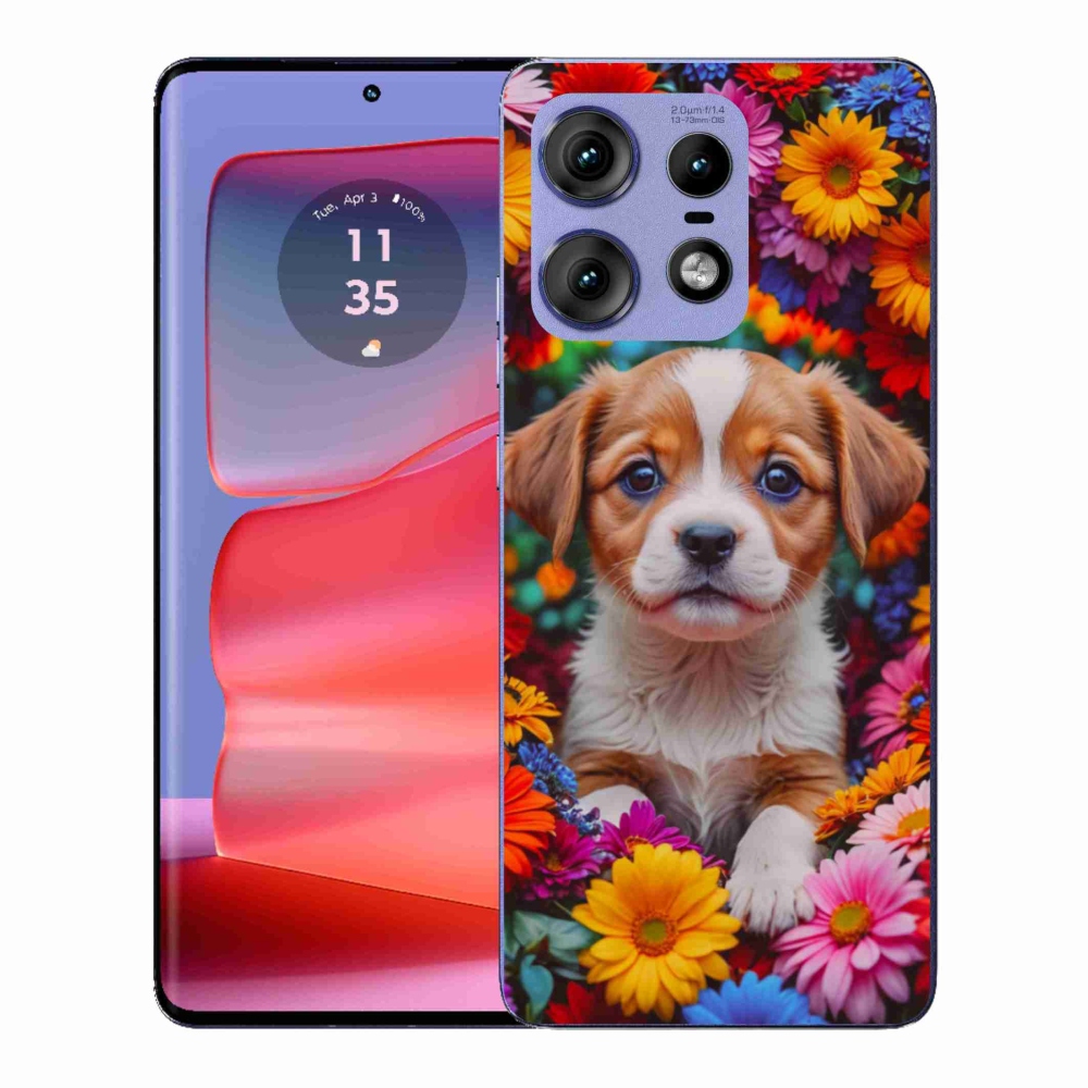 Zselés borítás mmCase a Motorola Edge 50 Pro készülékhez - aranyos kiskutya