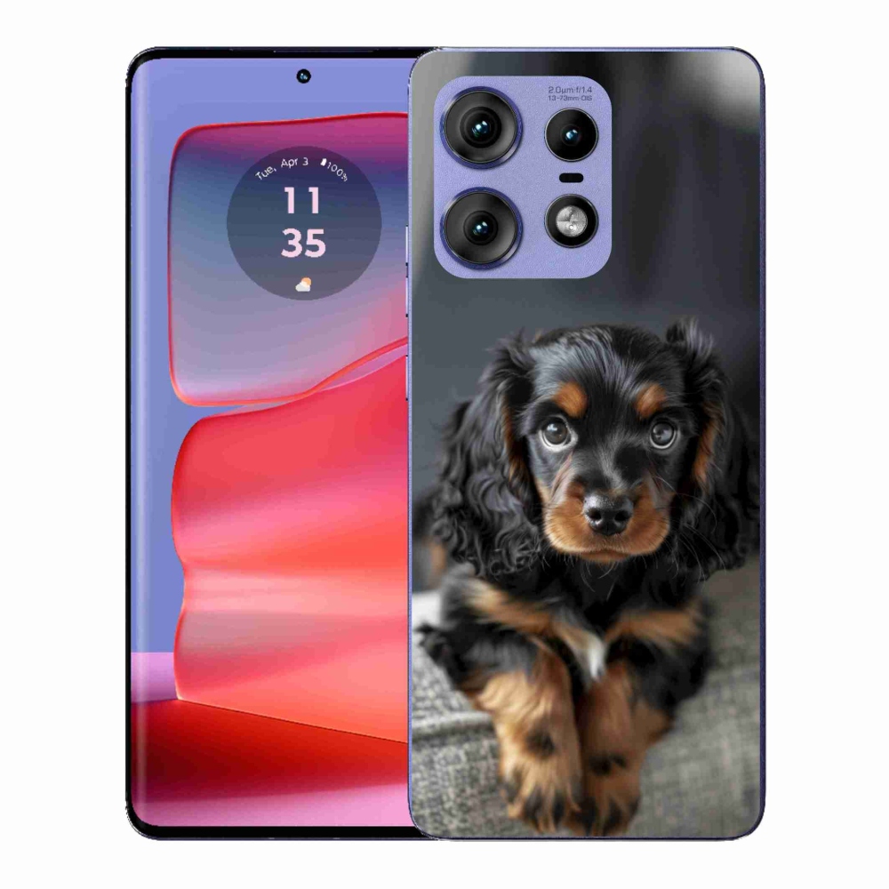 Zselés borítás mmCase a Motorola Edge 50 Pro készülékhez - aranyos hosszúszőrű tacskó