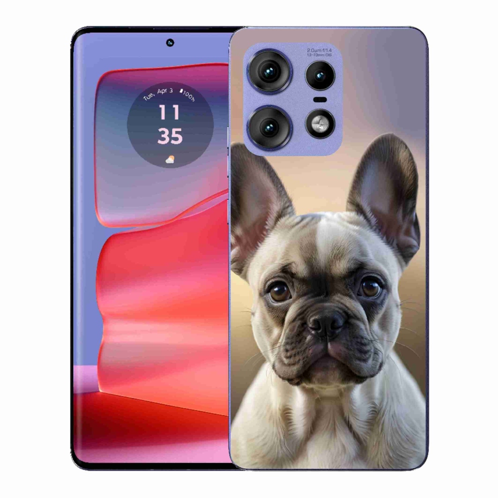 Zselés borítás mmCase a Motorola Edge 50 Pro készülékhez - aranyos francia bulldog