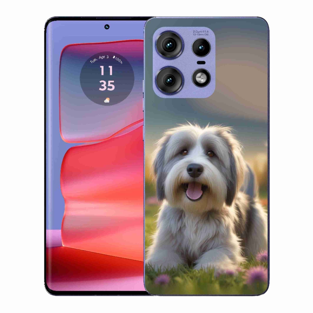 Zselés borítás mmCase a Motorola Edge 50 Pro készülékhez - aranyos havanese kutya