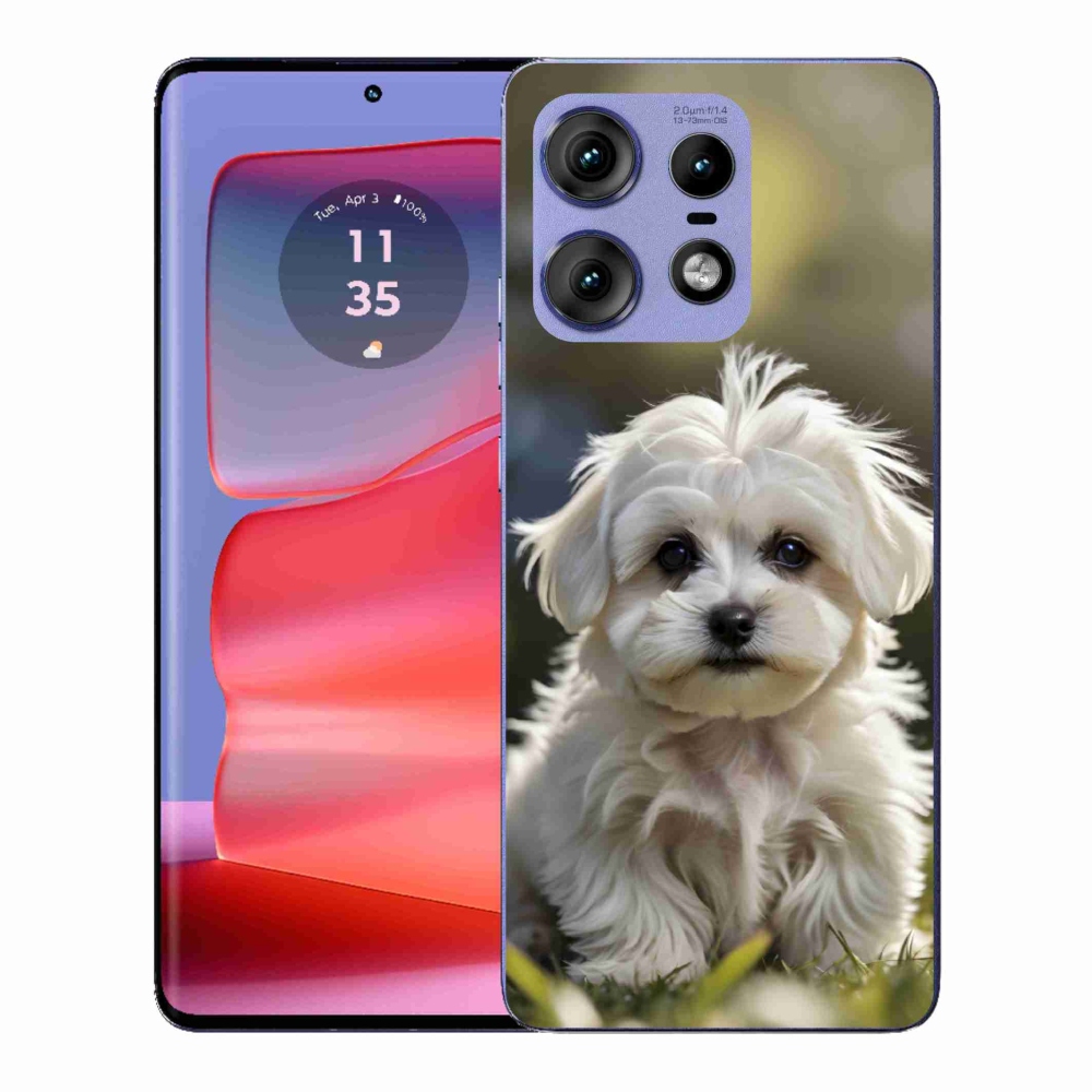 Zselés borítás mmCase a Motorola Edge 50 Pro készülékhez - aranyos máltai kutya