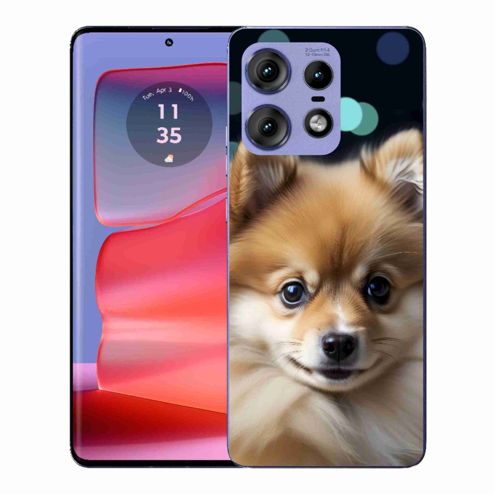 Zselés borítás mmCase a Motorola Edge 50 Pro készülékhez - aranyos pomerániai kutya