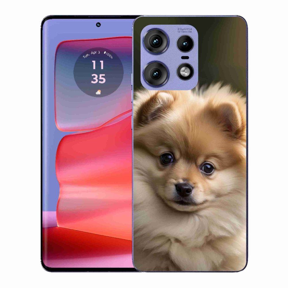 Zselés borítás mmCase a Motorola Edge 50 Pro készülékhez - aranyos pomerániai 2