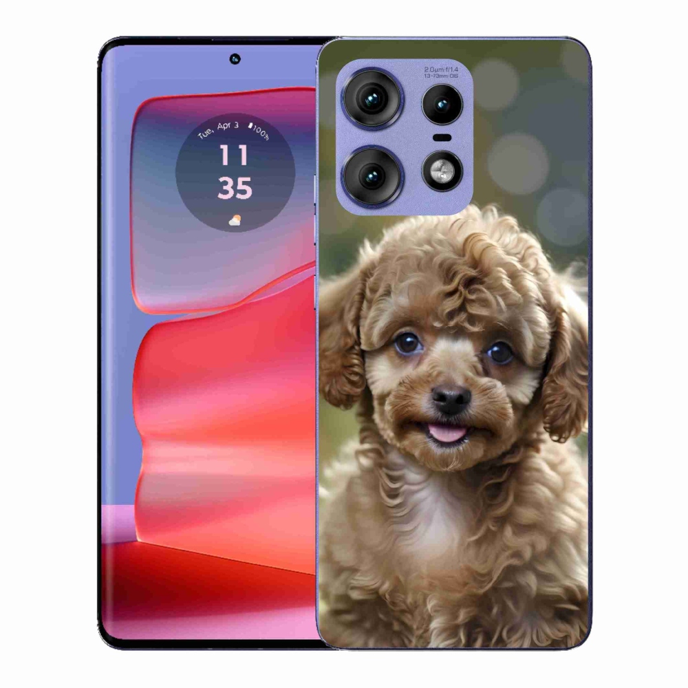 Zselés borítás mmCase a Motorola Edge 50 Pro készülékhez - aranyos uszkár
