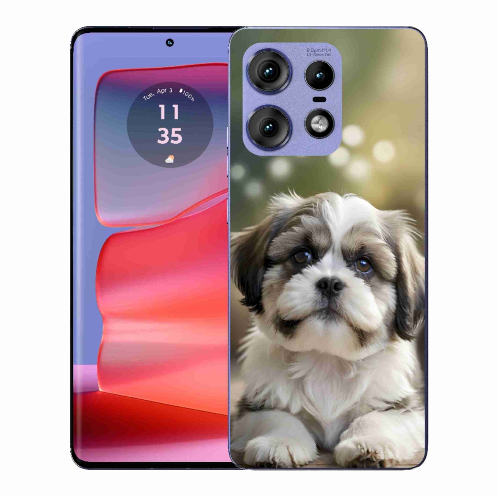 Zselés borítás mmCase a Motorola Edge 50 Pro készülékhez - aranyos shih-tzu