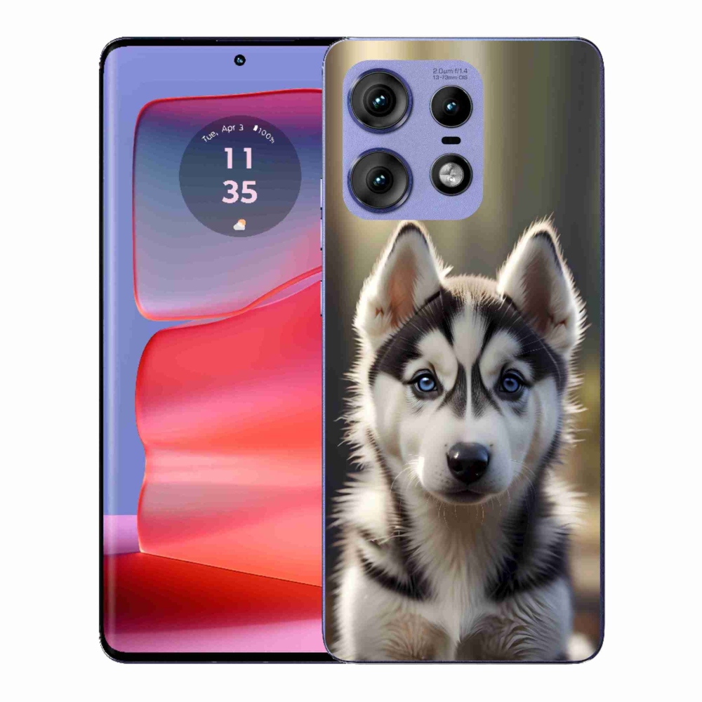 Zselés borítás mmCase a Motorola Edge 50 Pro készülékhez - aranyos szibériai husky