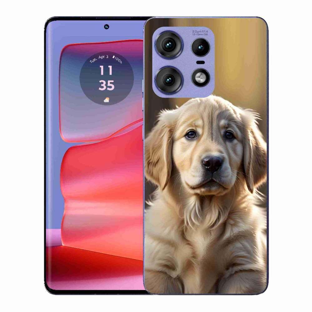 Zselés borítás mmCase a Motorola Edge 50 Pro készülékhez - aranyos arany retriever