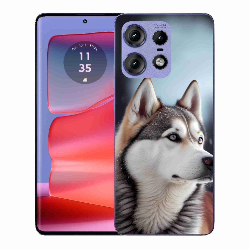 Zselés borítás mmCase a Motorola Edge 50 Pro készülékhez - Siberian Husky