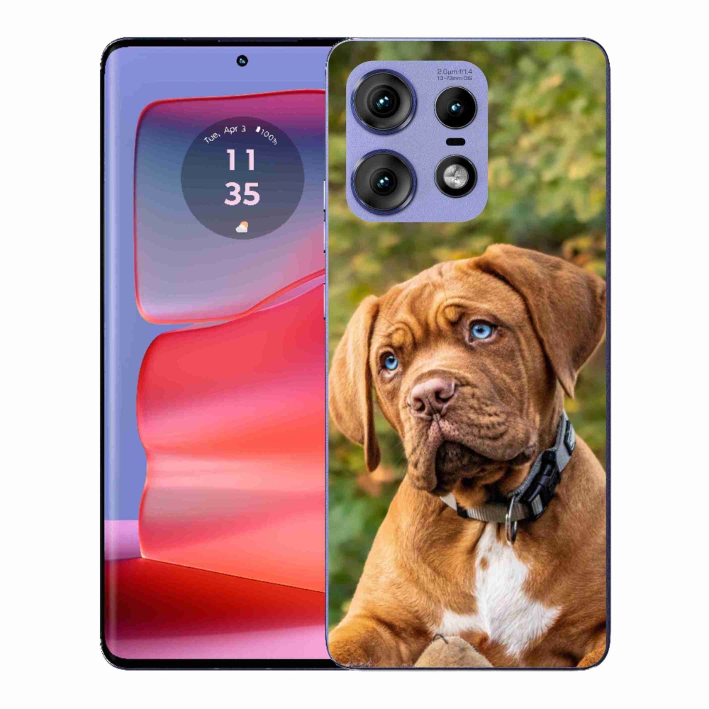 Zselés borítás mmCase a Motorola Edge 50 Pro készülékhez - kölyökkék