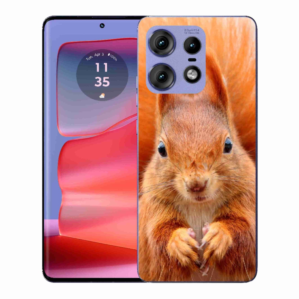 Zselés borítás mmCase a Motorola Edge 50 Pro készülékhez - mókus