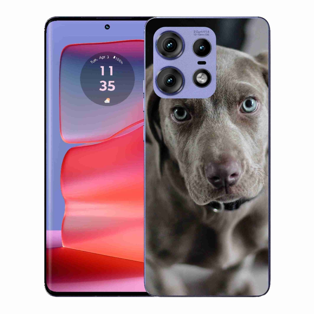 Zselés borítás mmCase a Motorola Edge 50 Pro készülékhez - Exotic Hound