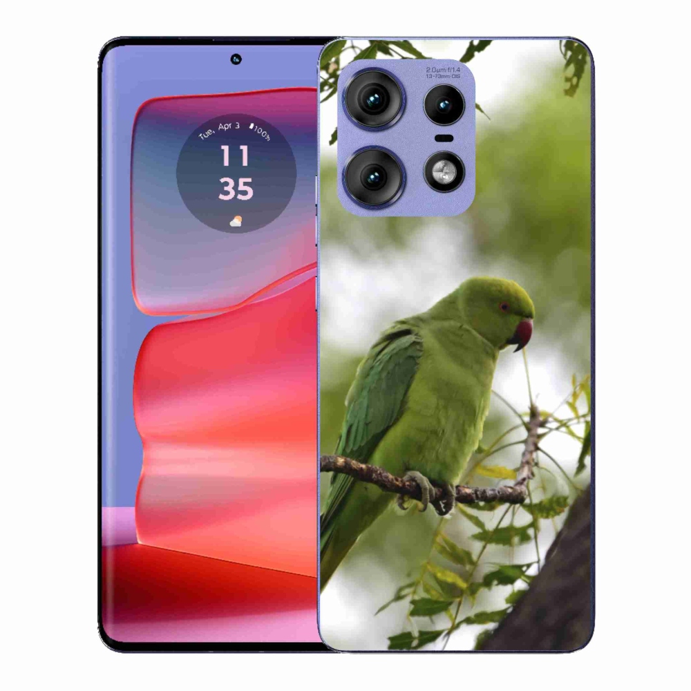 Zselés tok mmCase a Motorola Edge 50 Pro készülékhez - zöld papagáj