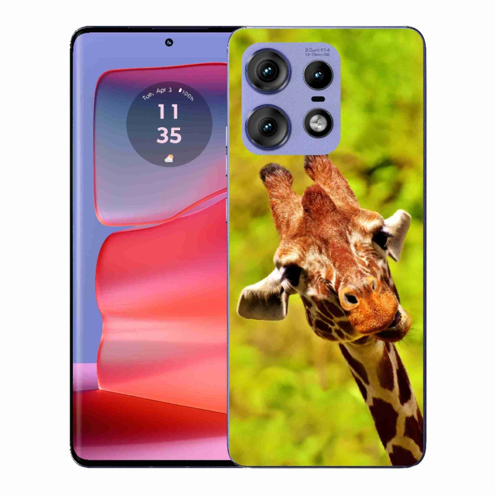 Zselés borítás mmCase a Motorola Edge 50 Pro készülékhez - zsiráf