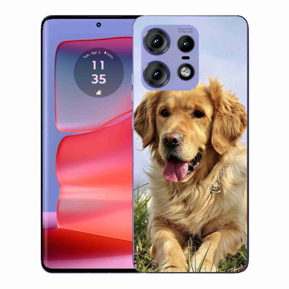 Zselés borítás mmCase a Motorola Edge 50 Pro készülékhez - arany retriever