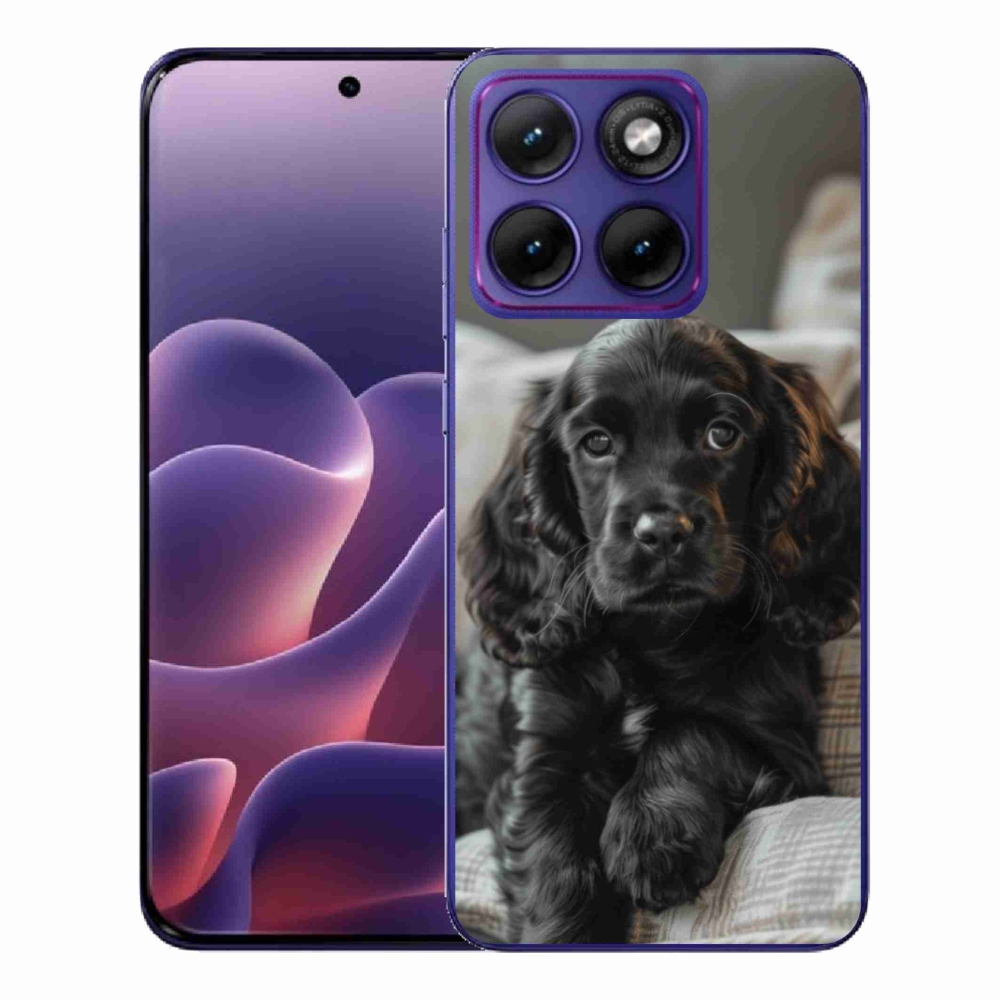 Zselés borítás mmCase a Motorola Edge 70 Fusion készülékhez - Angol Cocker Spaniel