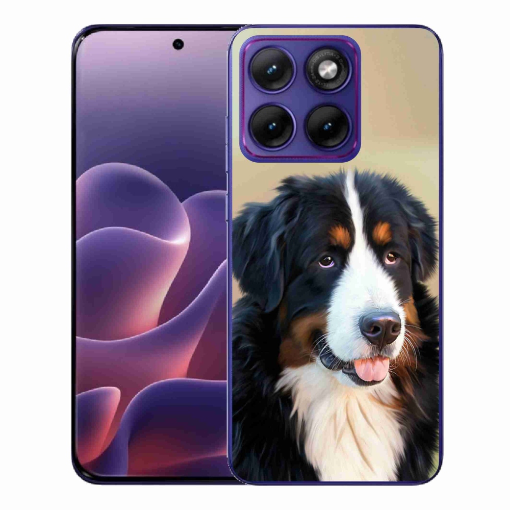 Zselés borítás mmCase a Motorola Edge 70 Fusion készülékhez - Berni hegyi kutya