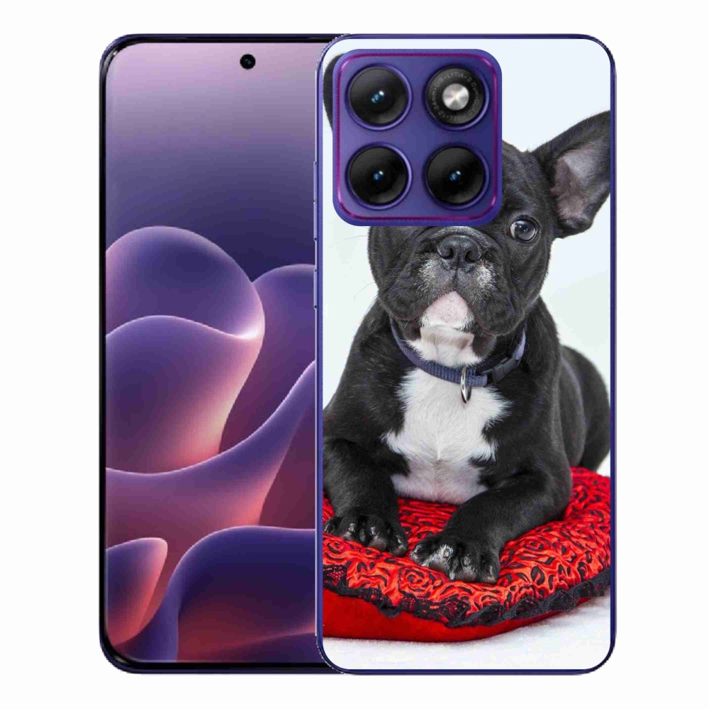 Zselés borítás mmCase Motorola Edge 70 Fusion készülékhez - bulldog