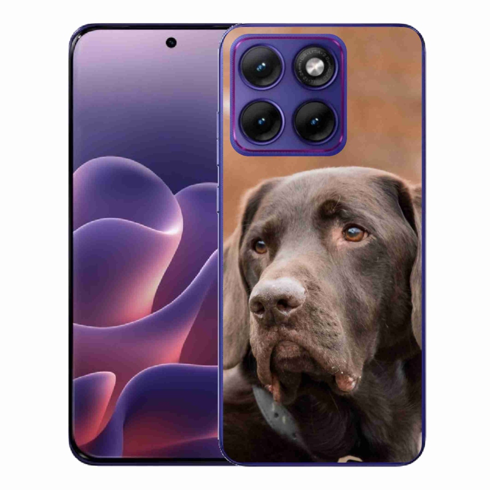 Zselés tok mmCase a Motorola Edge 70 Fusion készülékhez - barna labrador színű