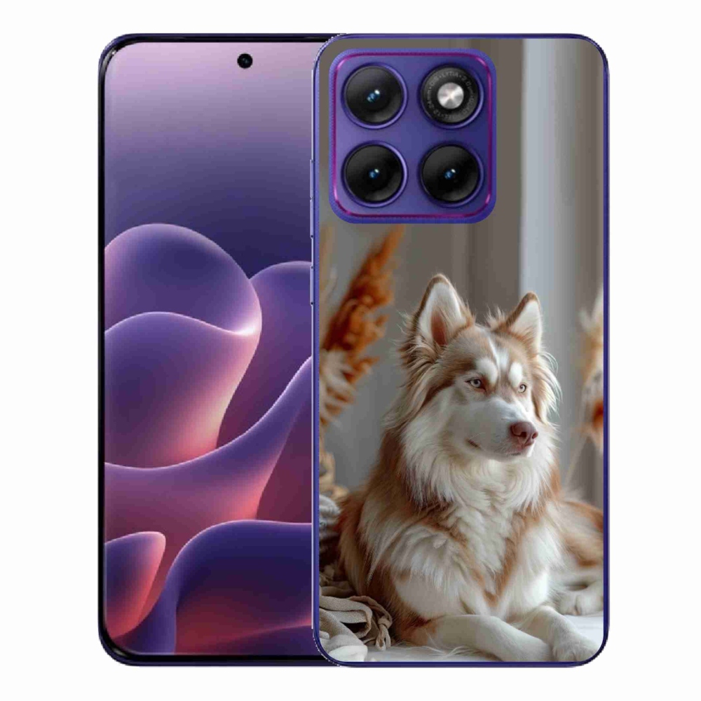 Zselés borítás mmCase a Motorola Edge 70 Fusion készülékhez - csendes szibériai husky