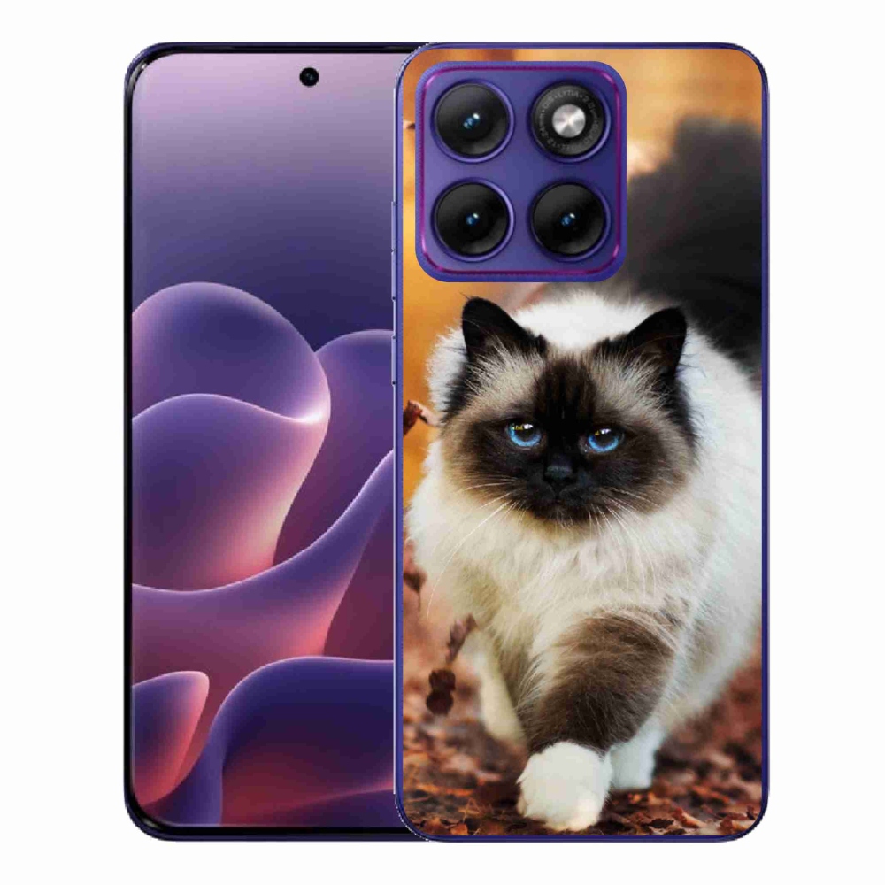 Zselés borítás mmCase a Motorola Edge 70 Fusion készülékhez - cat