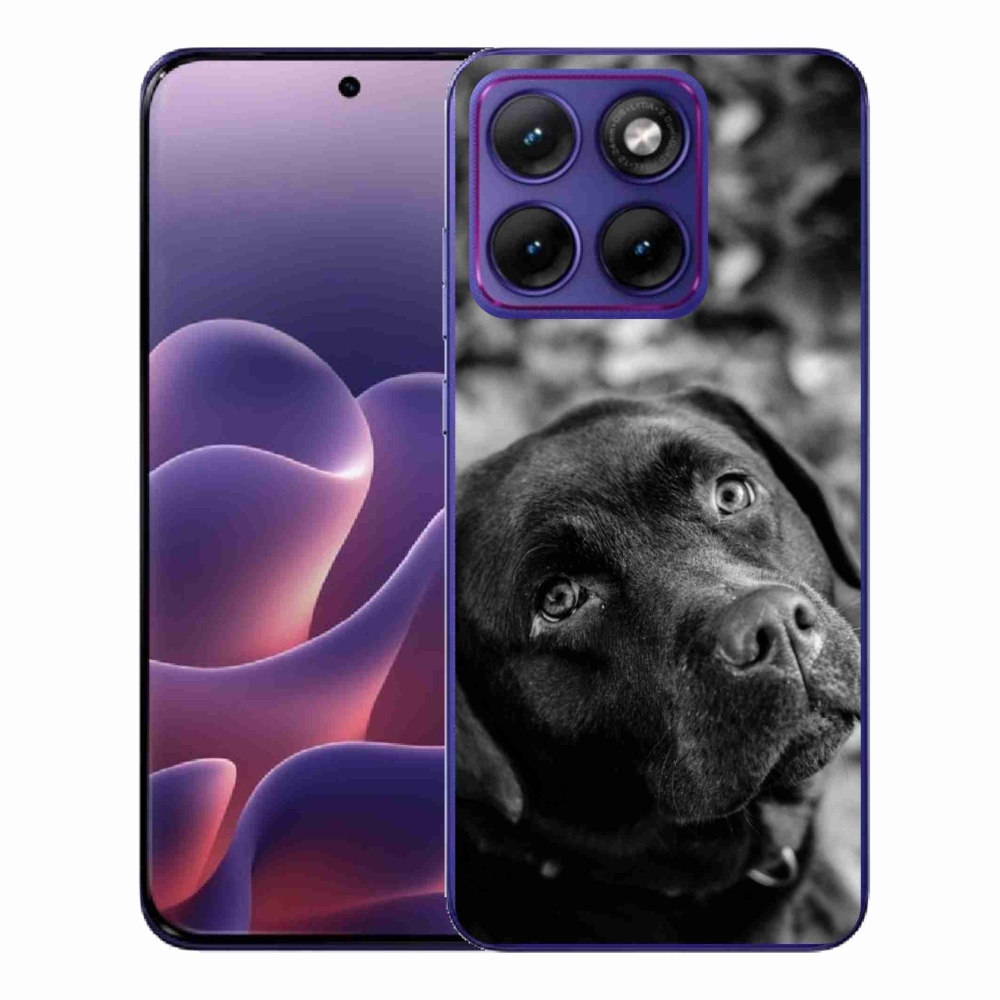 Zselés borítás mmCase a Motorola Edge 70 Fusion készülékhez - labrador