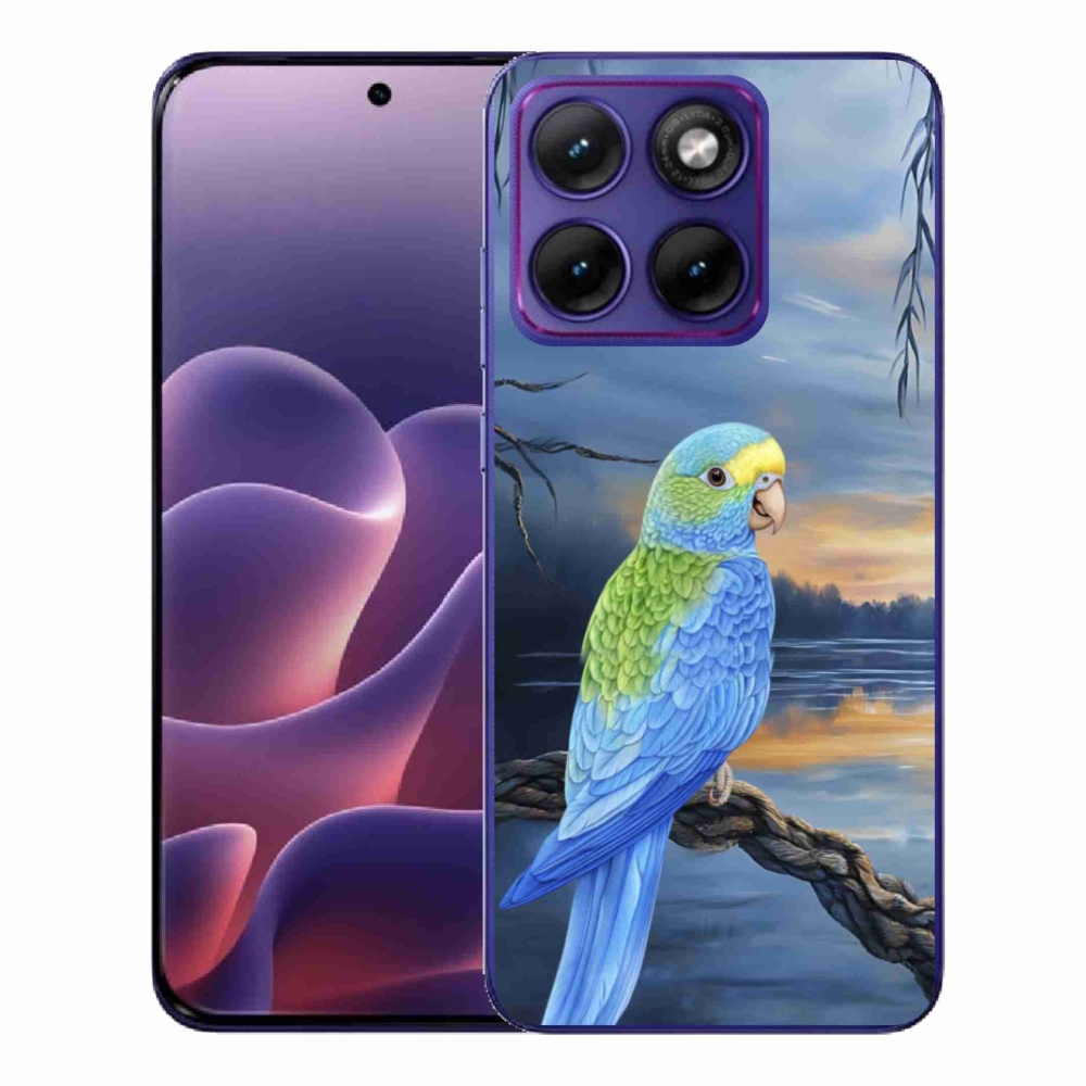 Zselés borítás mmCase a Motorola Edge 70 Fusion készülékhez - kék papagáj