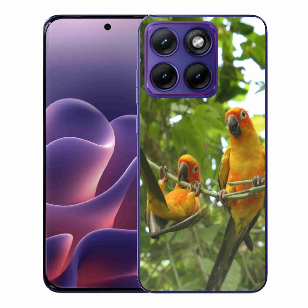 Zselés borítás mmCase a Motorola Edge 70 Fusion készülékhez - papagájok aratingy