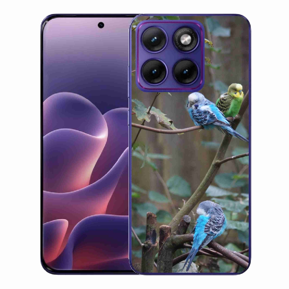 Zselés borítás mmCase a Motorola Edge 70 Fusion készülékhez - papagájok az ágon