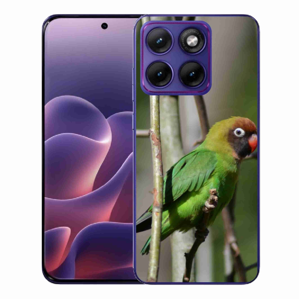 Zselés borítás mmCase a Motorola Edge 70 Fusion készülékhez - papagáj agapornis