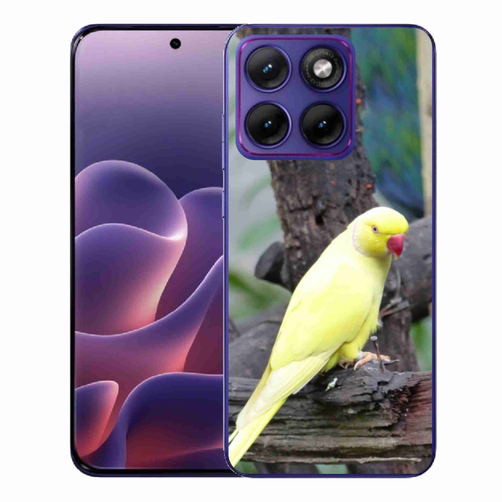 Zselés borítás mmCase a Motorola Edge 70 Fusion készülékhez - papagáj alexander sárga