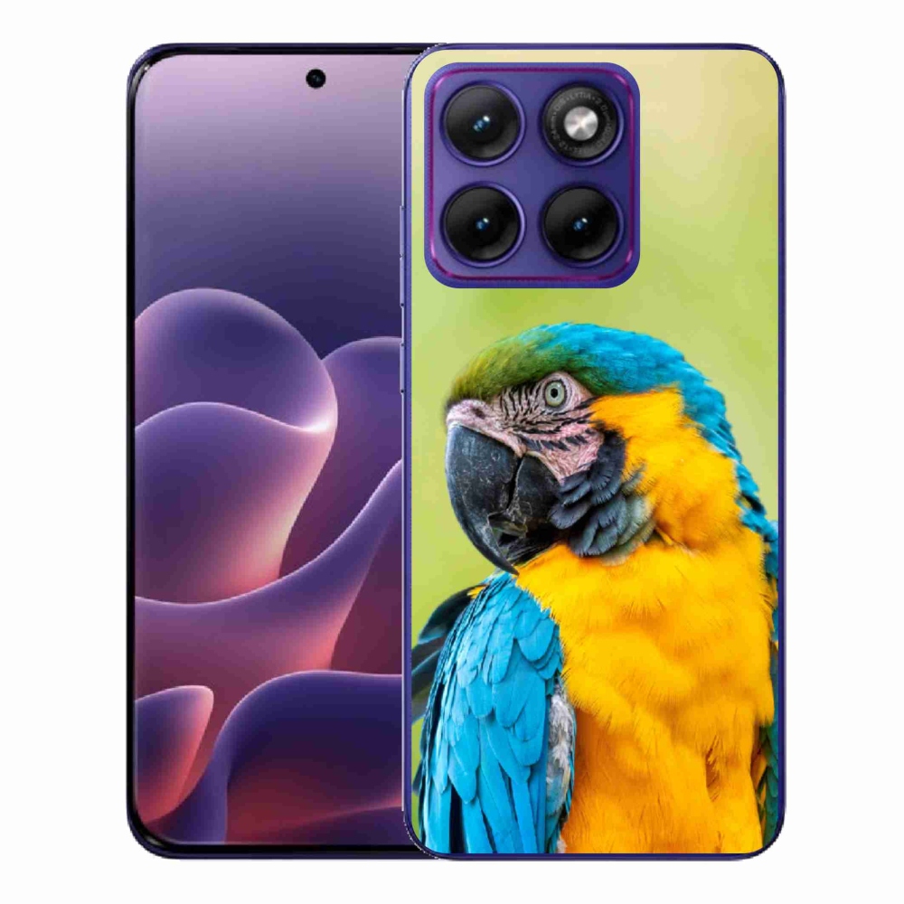 Zselés borítás mmCase a Motorola Edge 70 Fusion készülékhez - papagáj ara 2