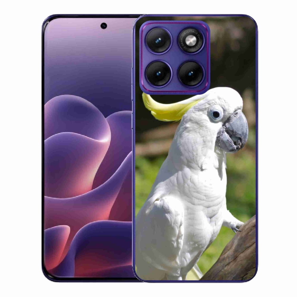 Zselés borítás mmCase a Motorola Edge 70 Fusion készülékhez - papagáj kakadu 2