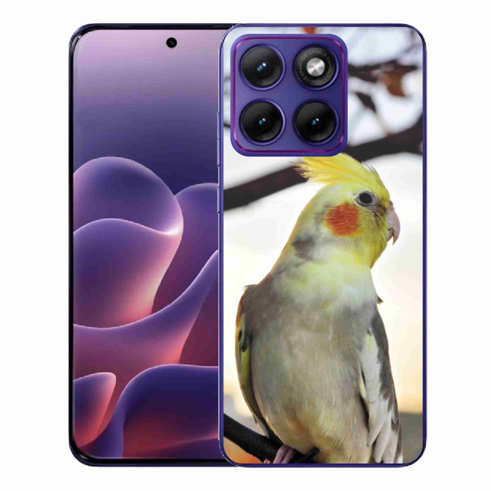 Zselés borítás mmCase a Motorola Edge 70 Fusion készülékhez - papagáj korela