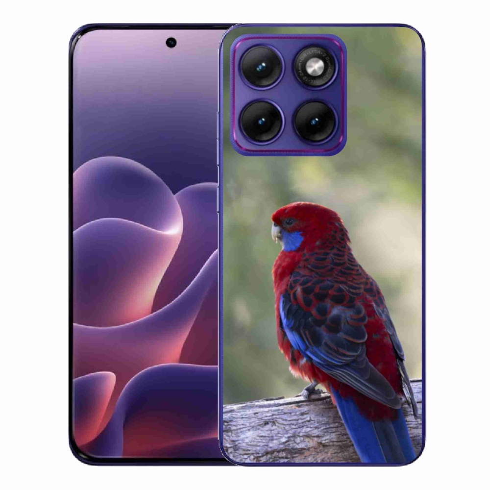 Zselés borítás mmCase a Motorola Edge 70 Fusion készülékhez - papagáj rosela