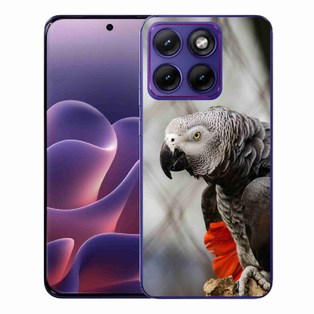 Zselés borítás mmCase a Motorola Edge 70 Fusion készülékhez - parrot jacko 3