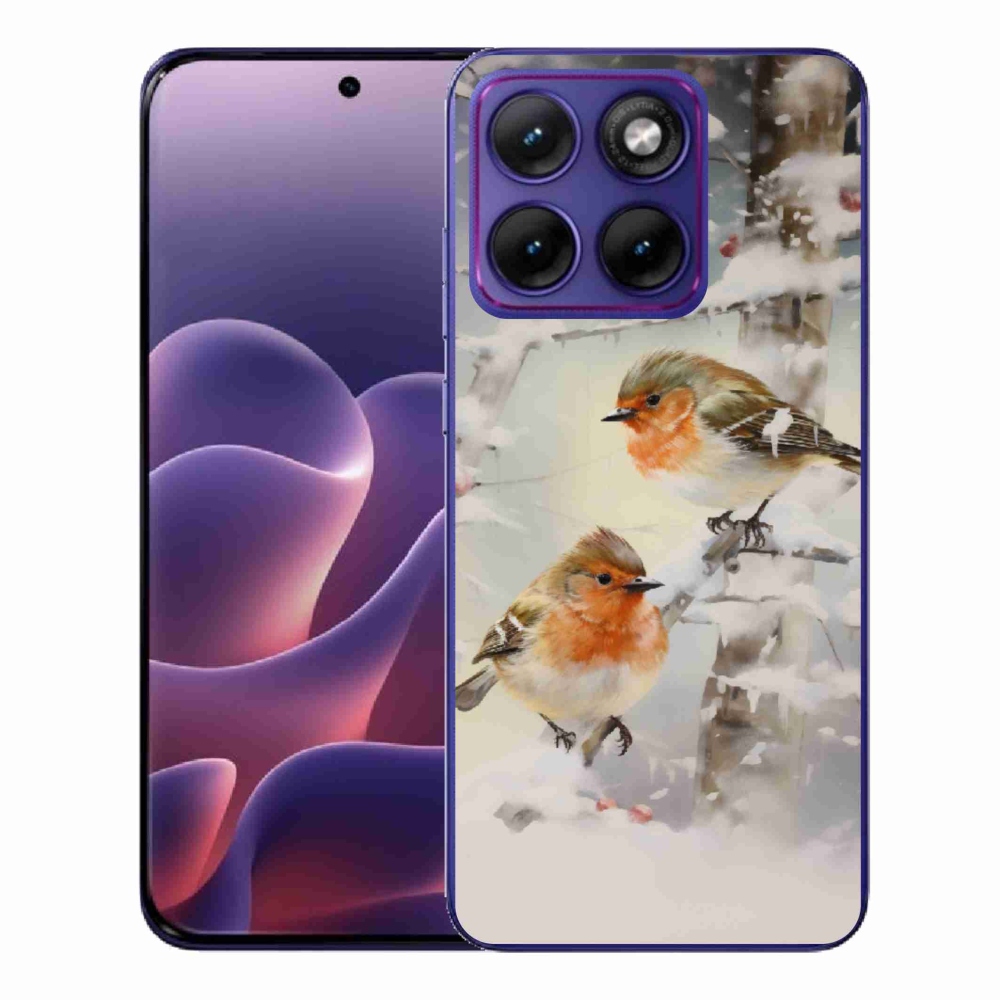 Zselés borítás mmCase a Motorola Edge 70 Fusion készülékhez - madarak télen