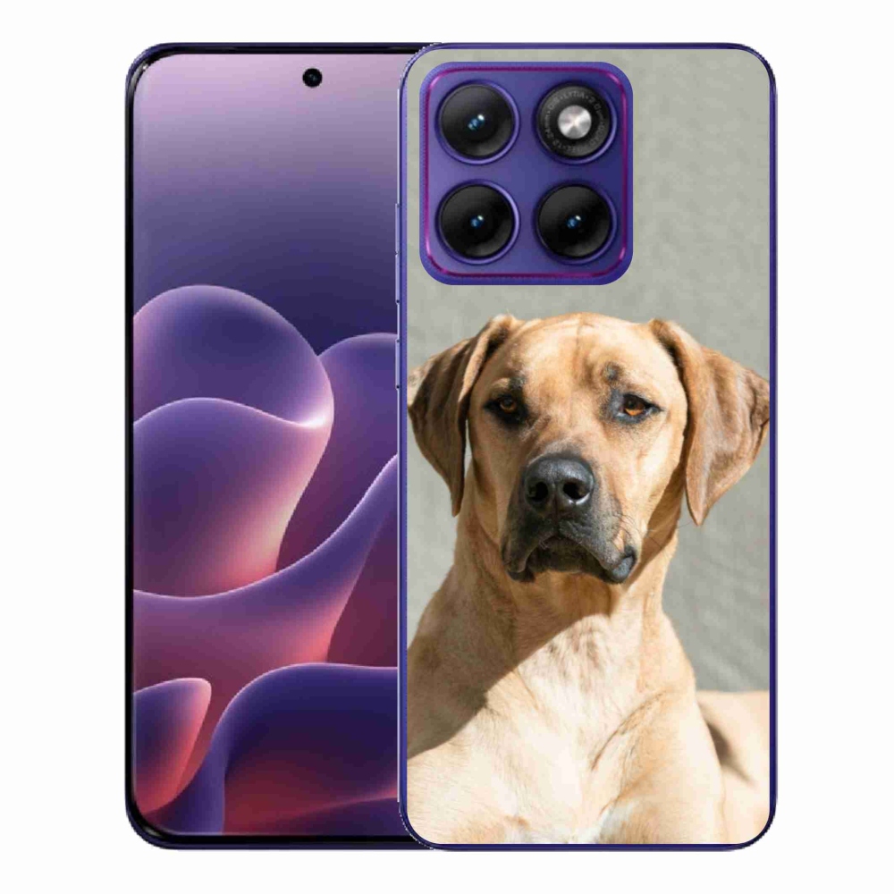 Zselés borítás mmCase a Motorola Edge 70 Fusion készülékhez - ridgeback