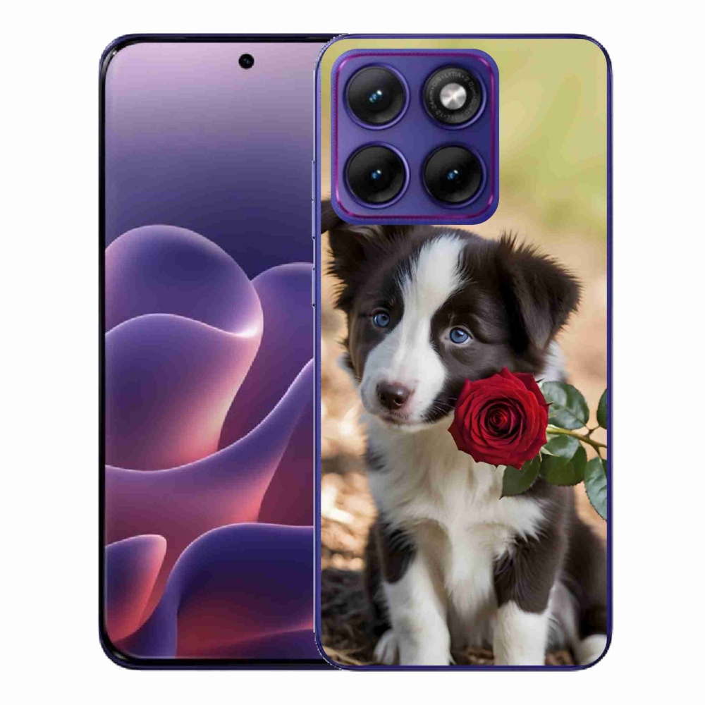 Zselés borítás mmCase a Motorola Edge 70 Fusion készülékhez - aranyos border collie rózsával