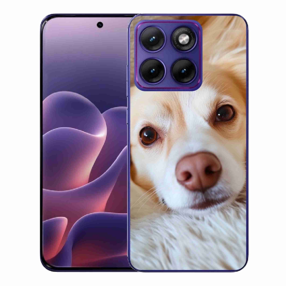 Zselés borítás mmCase a Motorola Edge 70 Fusion készülékhez - Aranyos csivava