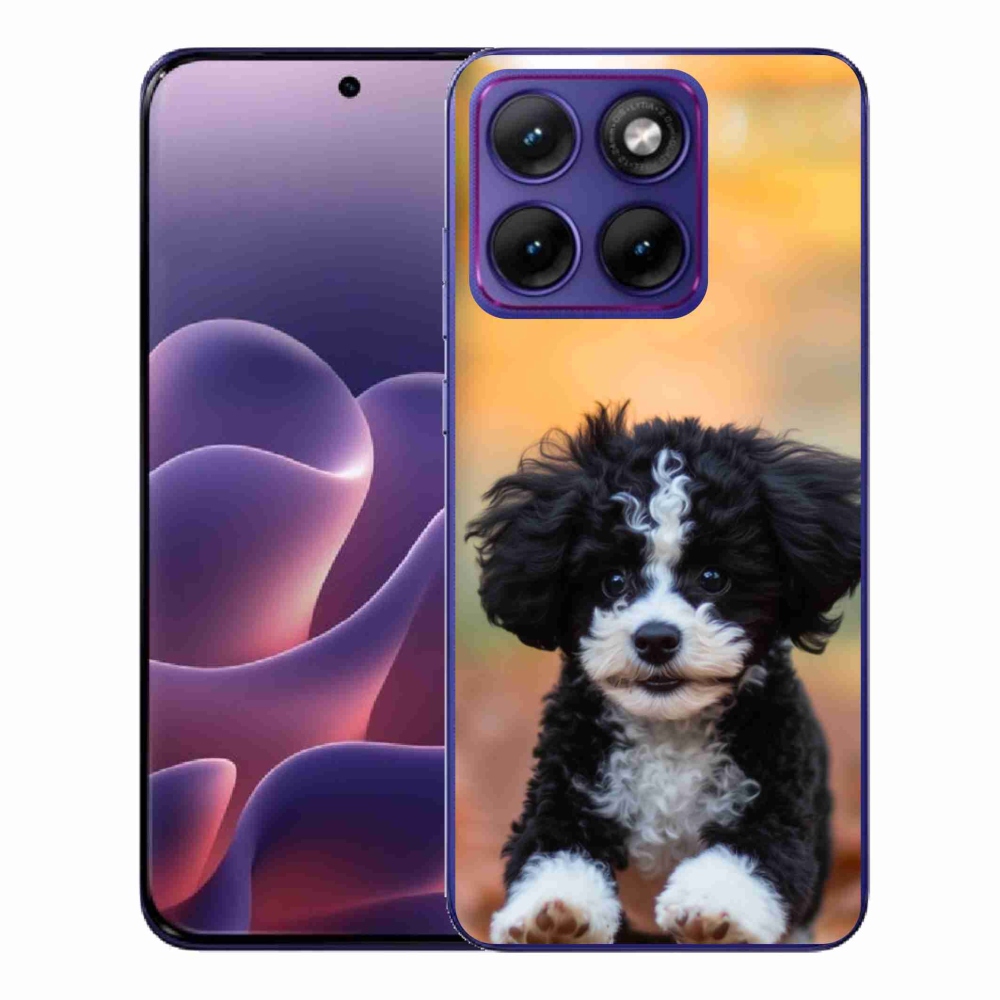 Zselés borítás mmCase a Motorola Edge 70 Fusion készülékhez - aranyos kiskutya 2