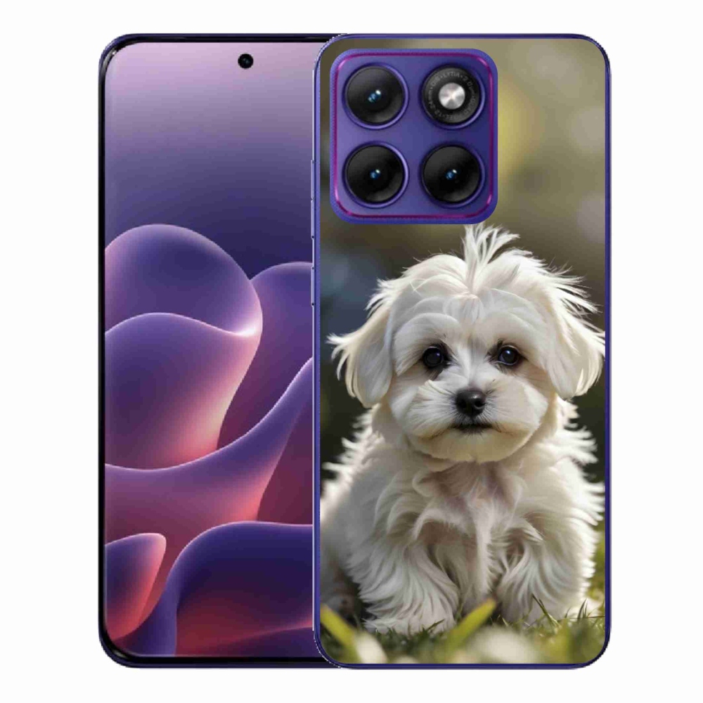 Zselés borítás mmCase a Motorola Edge 70 Fusion készülékhez - aranyos máltai kutya