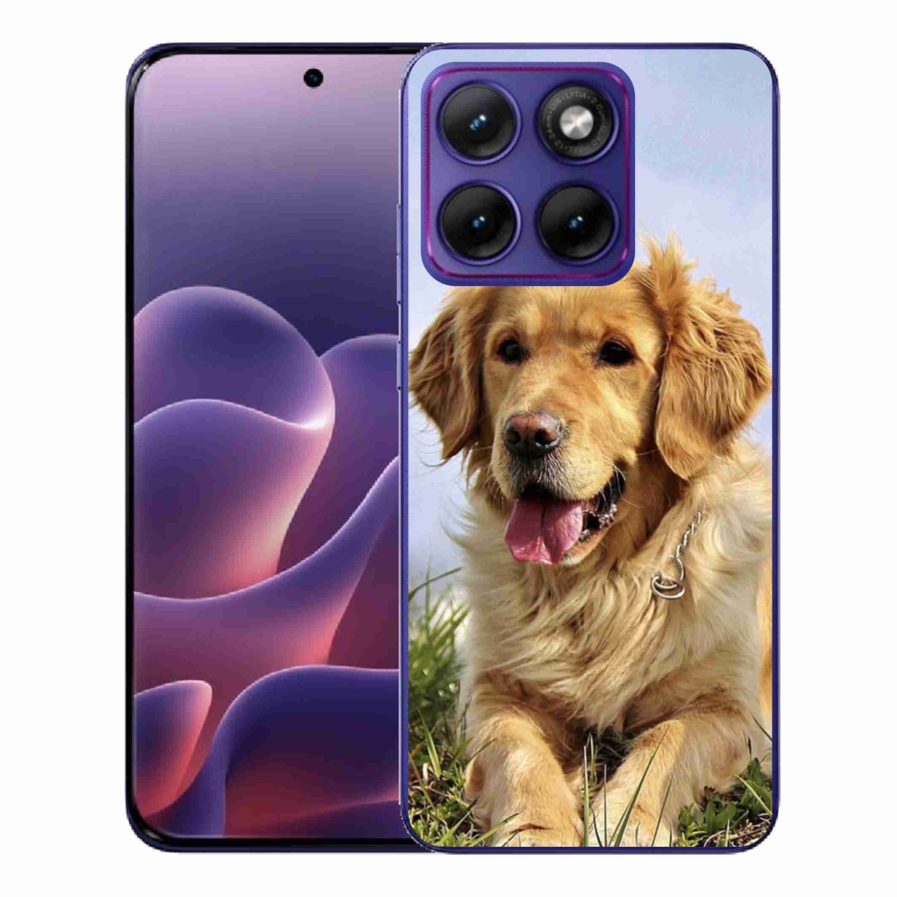 Gél borítás mmCase a Motorola Edge 70 Fusion készülékhez - golden retriever