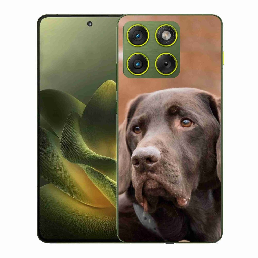 Zselés borítás mmCase a Motorola Edge 70 készülékhez - barna labrador