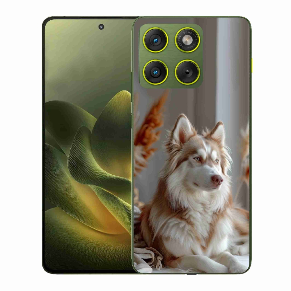 Zselés borítás mmCase a Motorola Edge 70 készülékhez - csendes szibériai husky