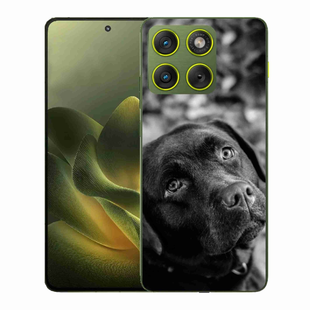 Zselés borítás mmCase a Motorola Edge 70 készülékhez - labrador