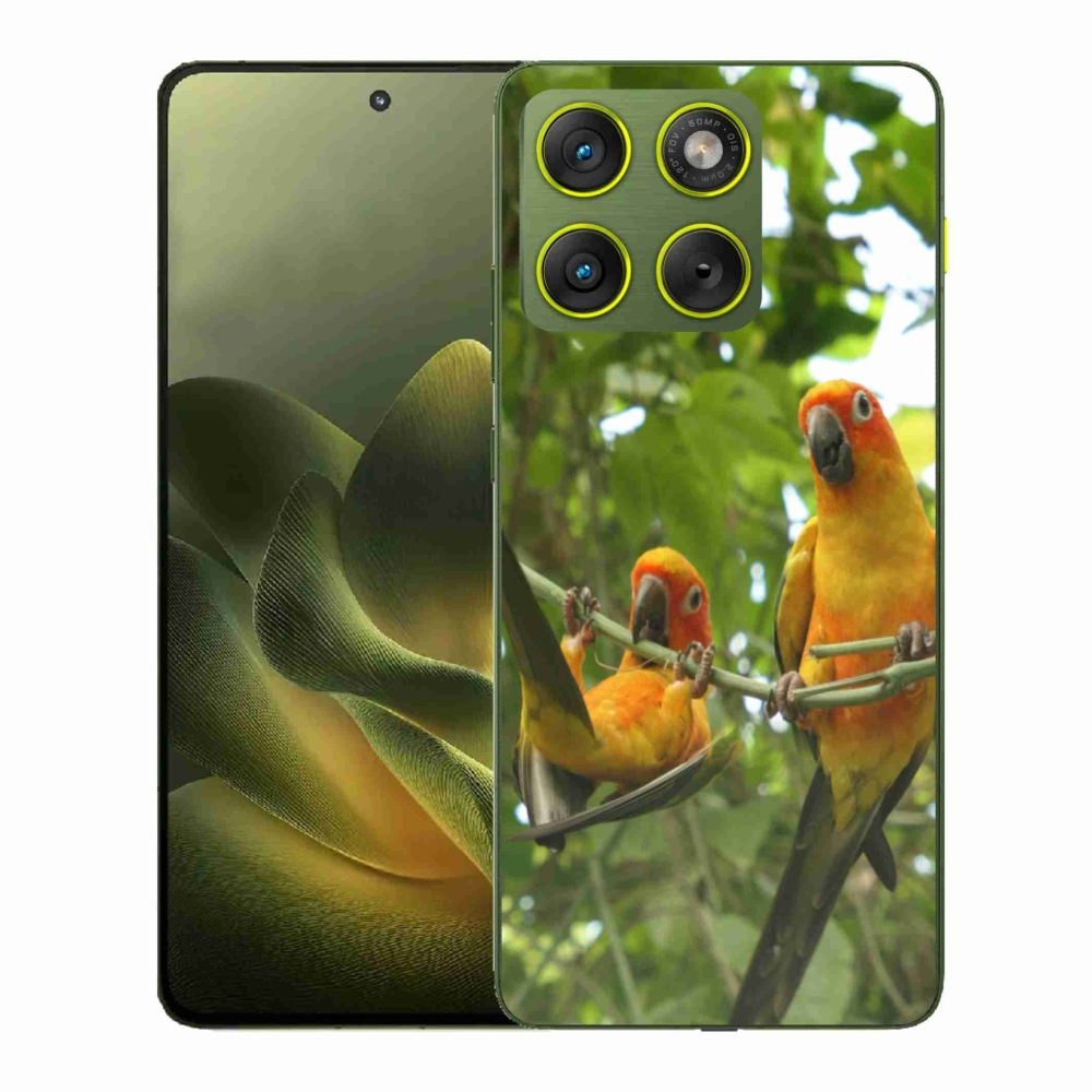 Zselés borítás mmCase a Motorola Edge 70 készülékhez - papagájok aratingy
